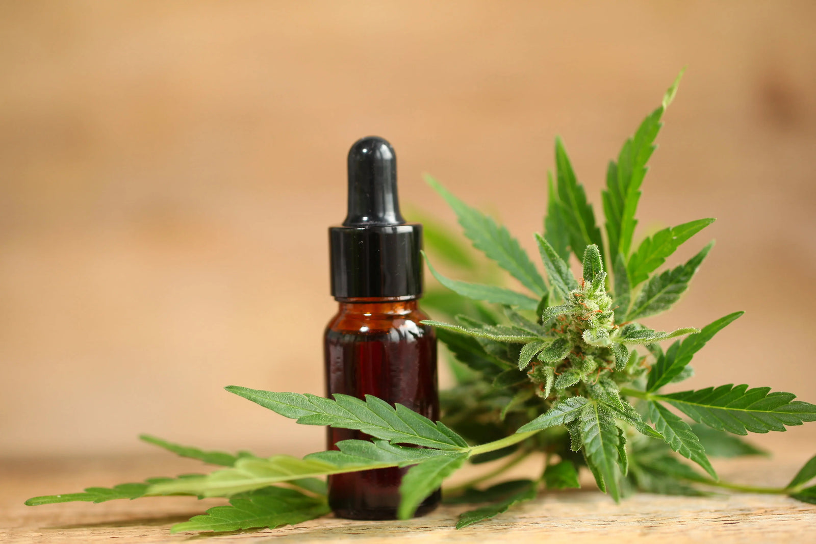 cbd-regles-douloureuses