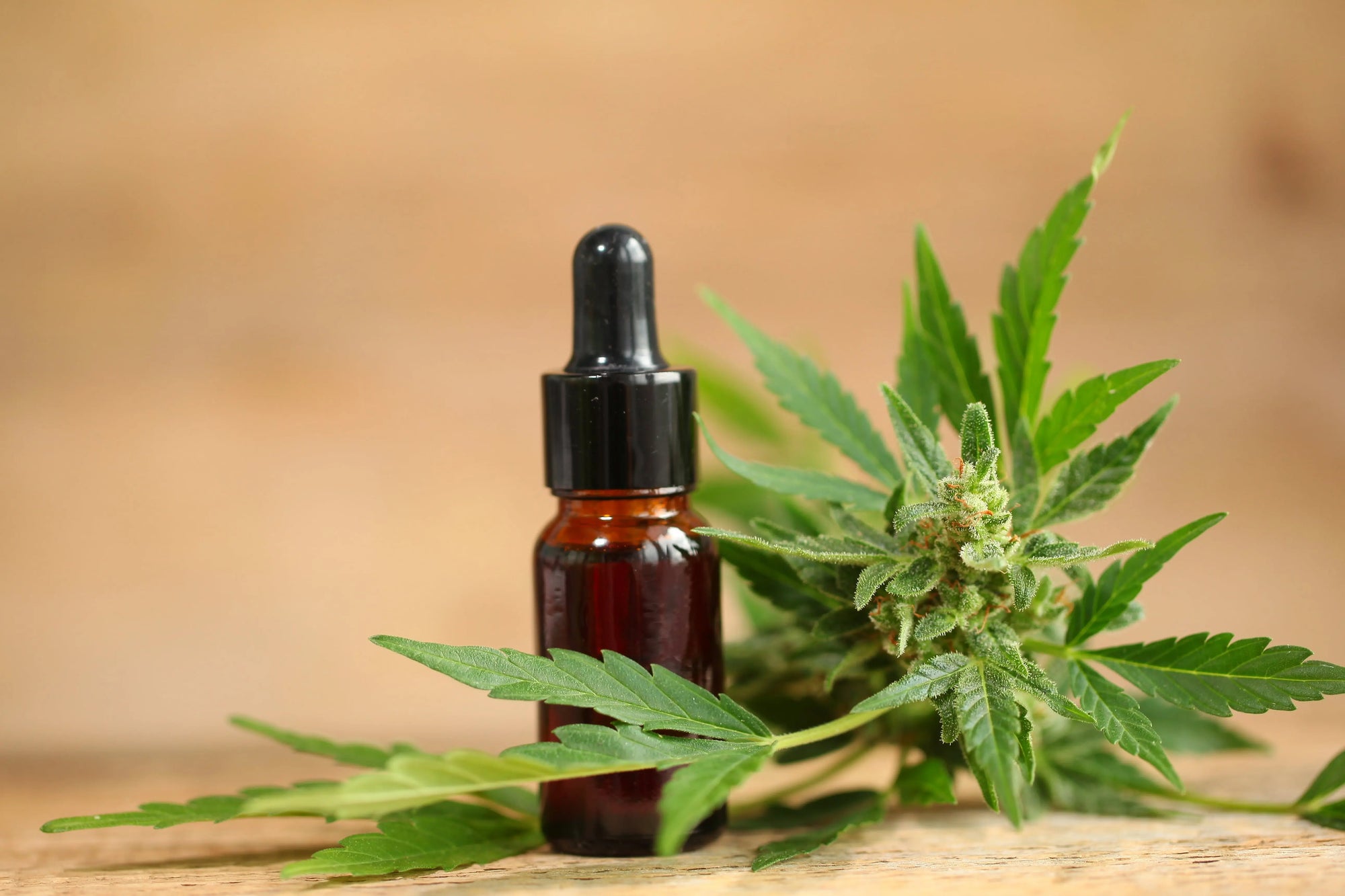 cbd-regles-douloureuses